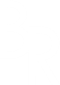 BREVIS Logo
